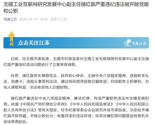 江蘇無錫工業互聯網研究發展中心副主任儲紅飆被 雙開